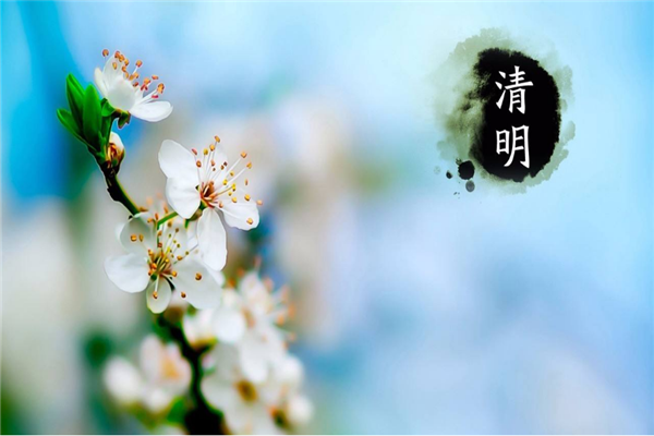 天游ty8线路检测中心喷塑设备厂家 | 清明时节哀思中蕴含着希望