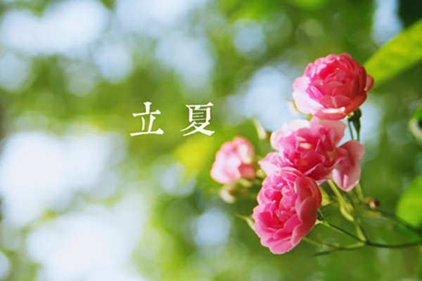 天游ty8线路检测中心涂装|立夏,万物向阳,且共成长